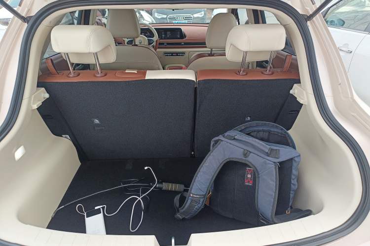 Used ORA Good Cat 2022 Morandi Edition 400km Standard Range Luxury Version Lithium-Ion Battery