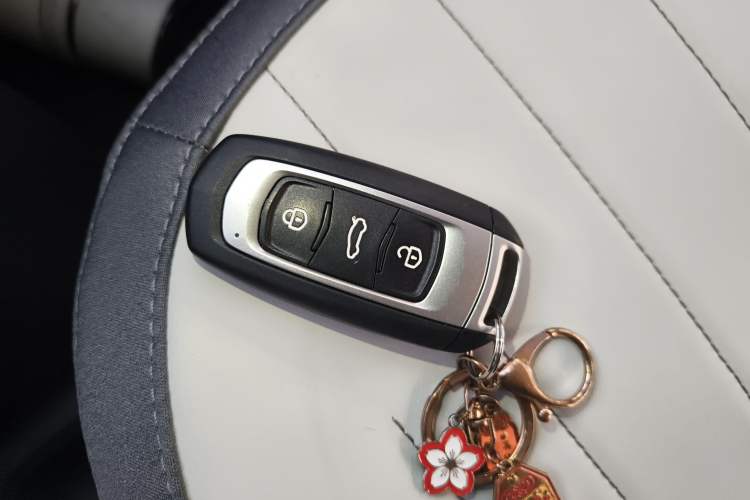 Used  Panda 2025 210km Panda Rider