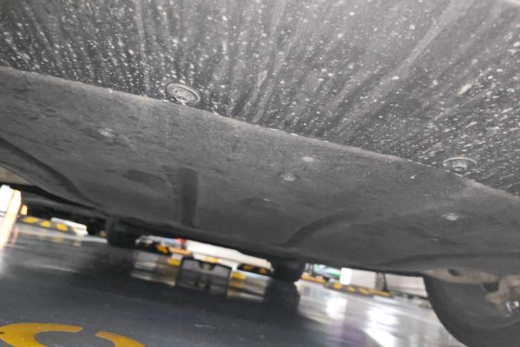 Used  LS6 2023 Max Long-Range Version
