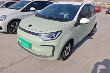 Used SOL E10X 2022 Flower Fairy Design Four-Leaf Clover