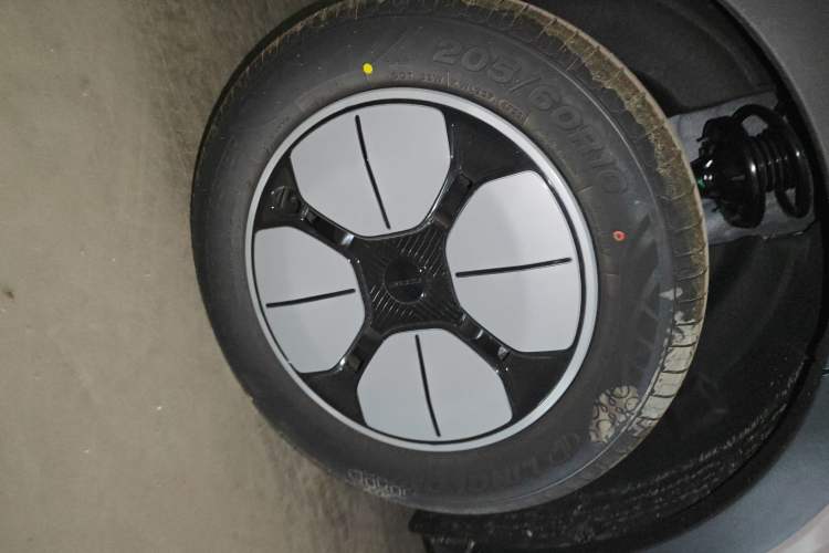 Used  Geome 2026 Model 310km Youth Edition
