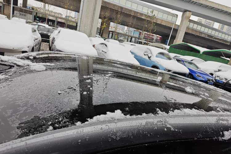 Used  07 2024 Max Extended-Range Edition