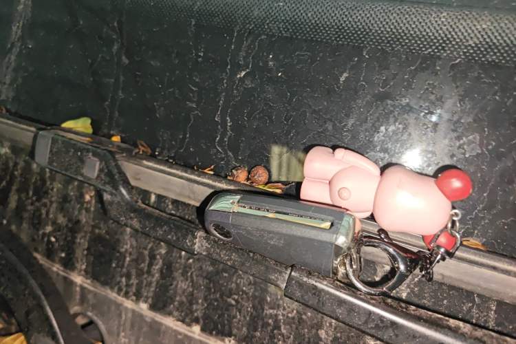 Used Volkswagen T-ROC 2019 280TSI DSG Two-Wheel Drive Comfort Version China VI Standard
