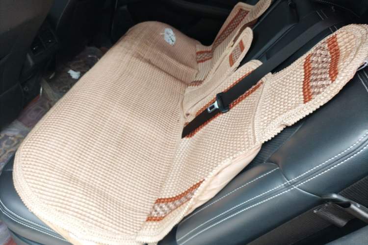 Used Dongfeng Fengon S560 2018 1.8L CVT Prestige Model
