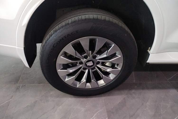 Used Tank 500 New Energy 2023 Hi4-T
