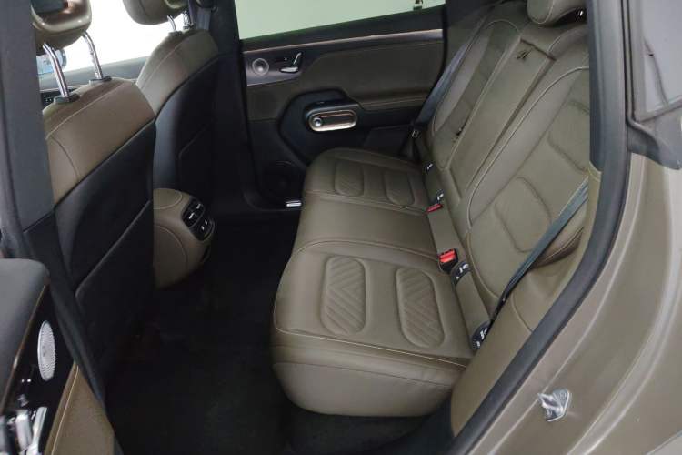 Used  #5 2024 Jungle Realm Limited Edition