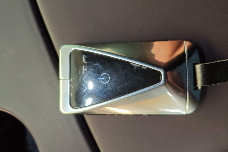 Used  07 2024 Pro Pure Electric Version
