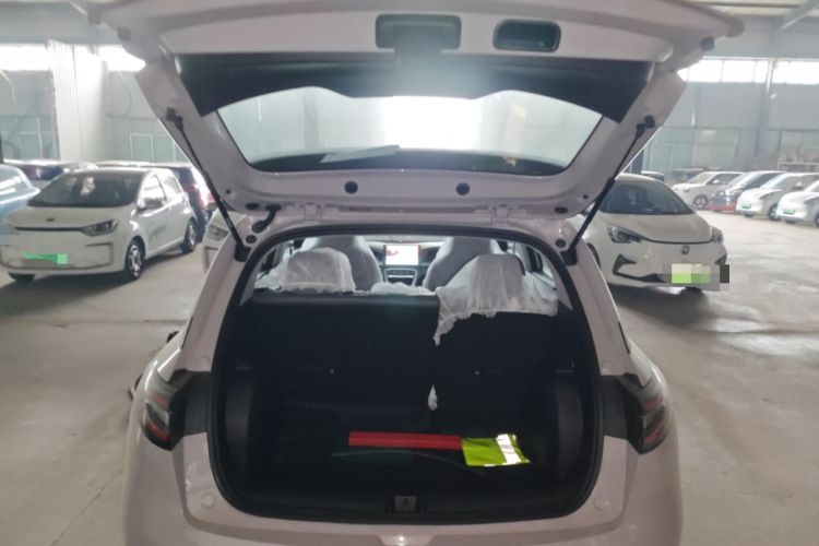 Used  Geome 2026 Model 310km Youth Edition
