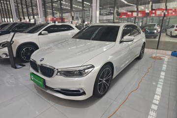 Used BMW 5 Series 2020 530Li Leading Edition Luxury Package