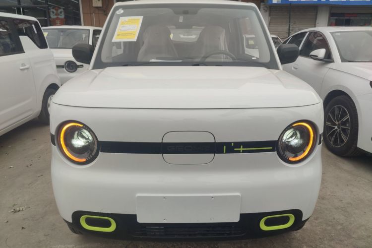 Used  Panda 2025 210 km – Yuanqi Bear
