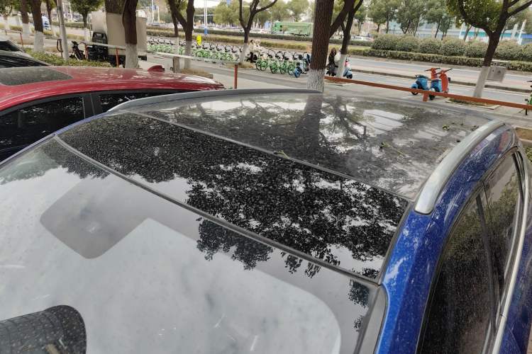 Used Haval F5 2018 1.5T i-Trend
