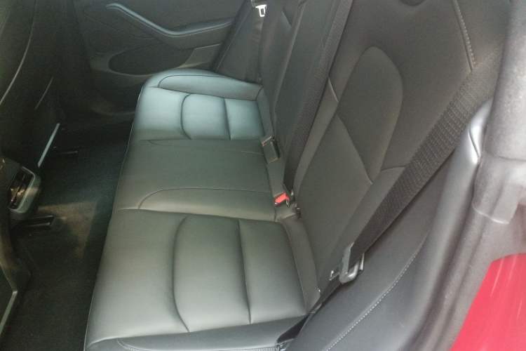 Used Tesla Model 3 2021 Standard Range Rear-Wheel Drive Upgraded Version 3D6
