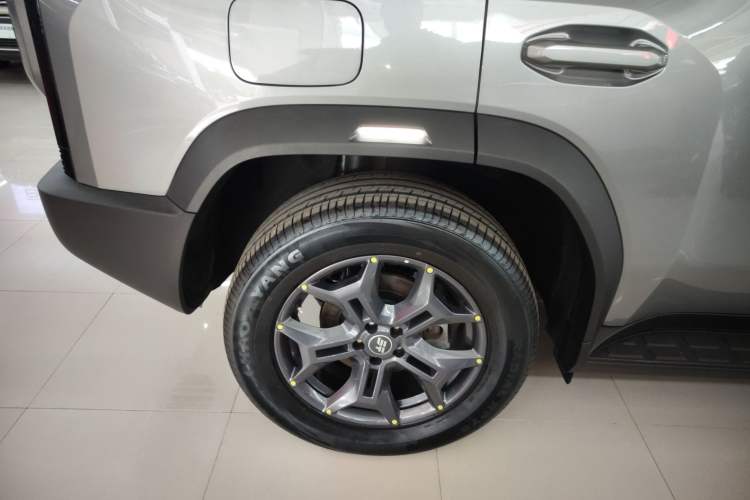 Used  Shanhai T2 2024 C-DM 129KM Linye Edition
