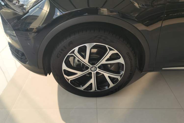 Used BYD Tang New Energy 2025 DM-i 115KM Flagship Model