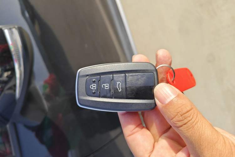 Used Toyota Wildlander 2022 2.0L CVT Two-Wheel Drive Luxury PLUS Edition
