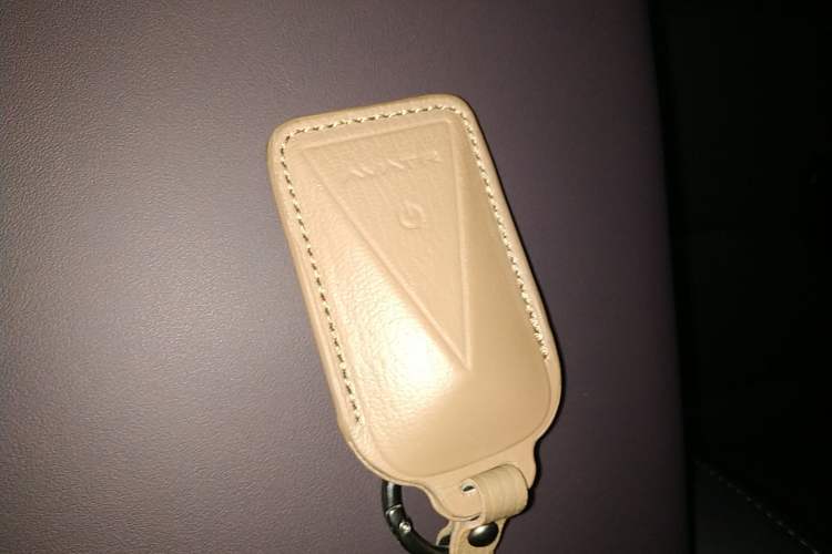 Used  06 2025 Max Extended-Range Edition
