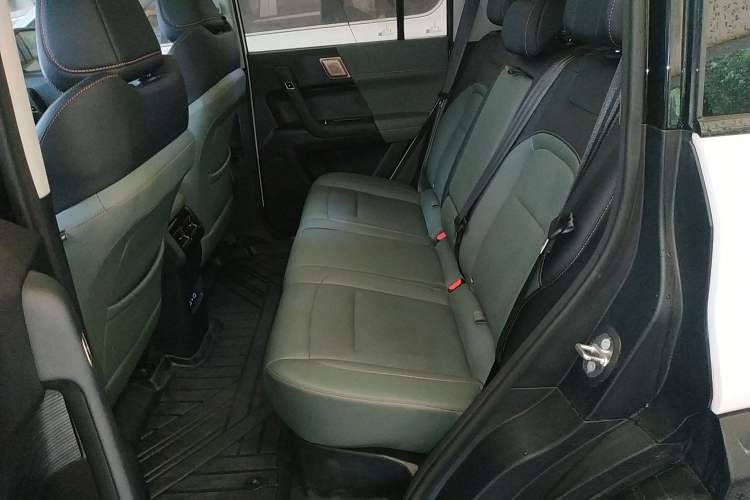 Used  03 2024 501km Two-Wheel Drive Long-Range Version