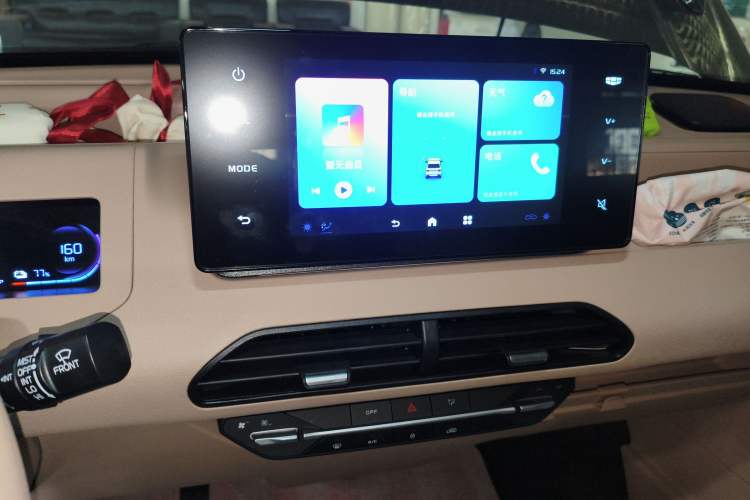 Used  Panda 2024 200km Panda Kart
