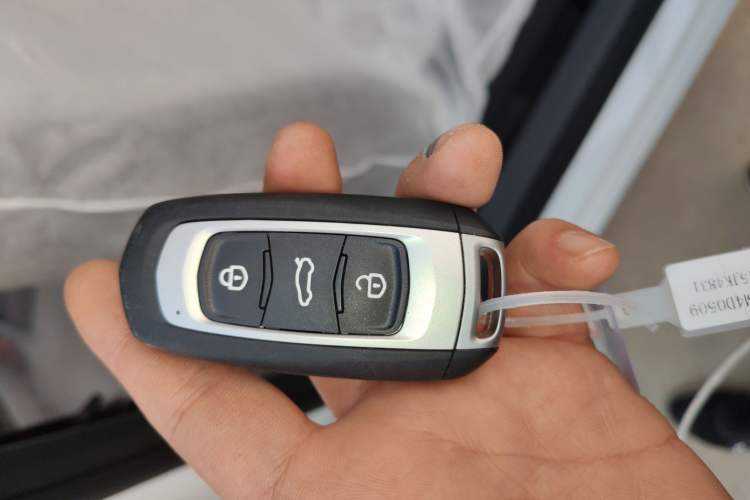 Used  Panda 2025 210 km – Yuanqi Bear
