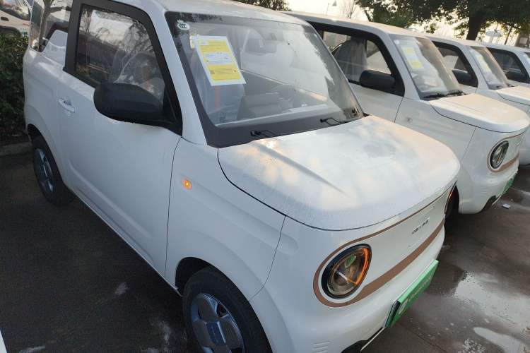 Used  Panda 2024 Panda Mini 200km Endurance Bear
