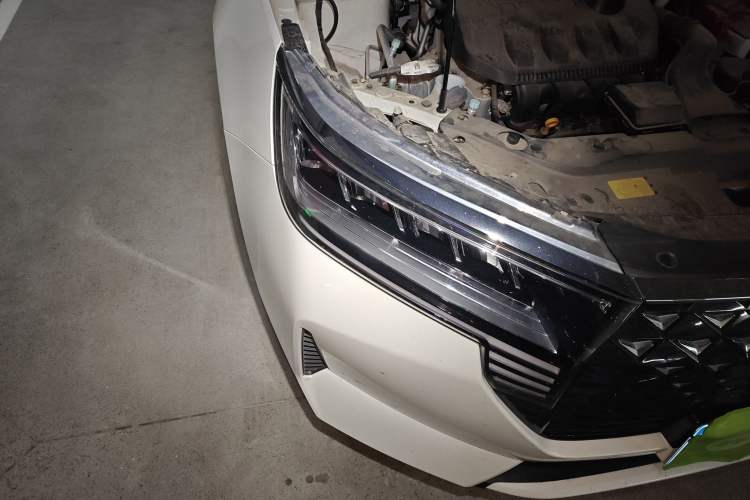 Used Venucia D60 2021 PLUS 1.6L XL CVT Yue Ling Edition