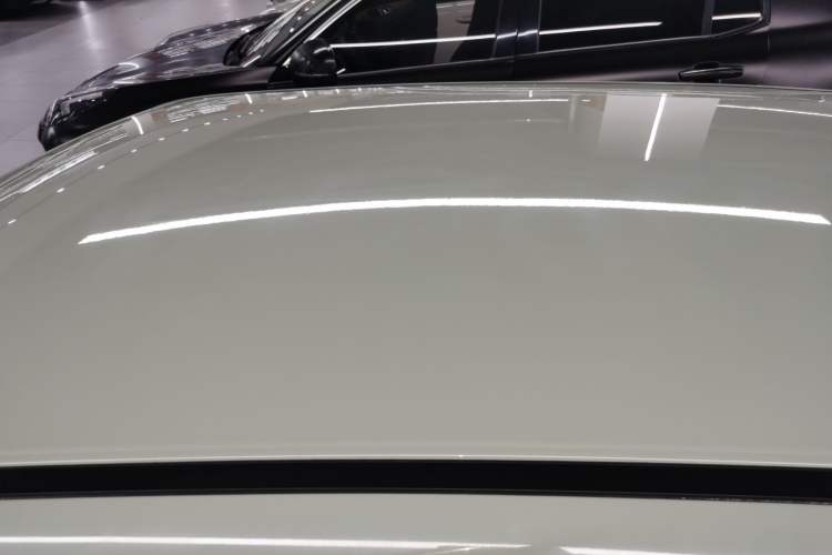 Used ORA White Cat 2022 Xiaoyue Mao Edition 360 km Luxury Model Lithium NMC
