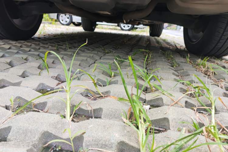 Used Mercedes-Benz GLK-Class 2014 GLK 200 Standard Model
