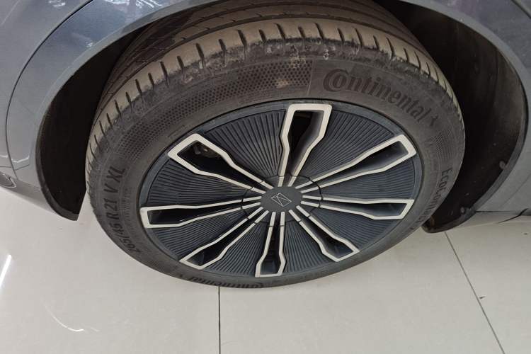 Used  07 2024 Max Extended-Range Edition
