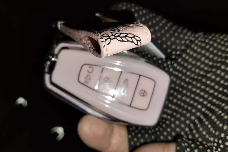 Used Geely Auto Monjaro L 2025 Dongfang Yao 2.0TD Automatic Lanxing Edition
