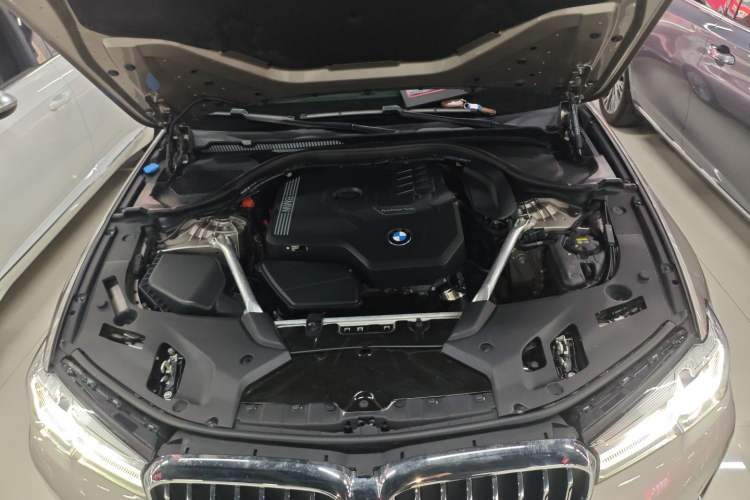 Used BMW 5 Series 2022 525Li Luxury Package
