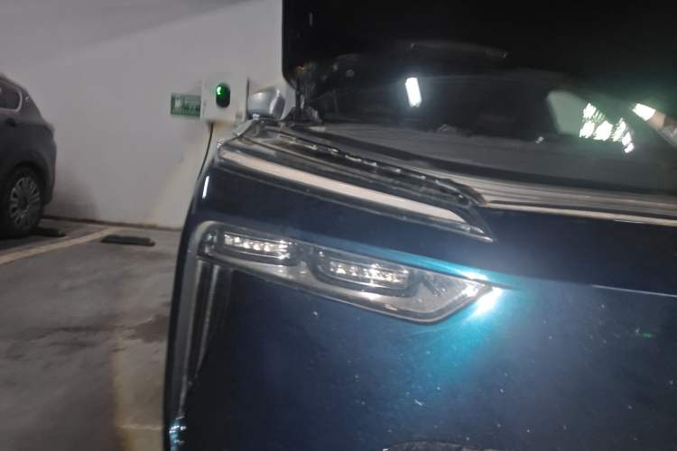 Used Wey Lanshan 2023 Four-Wheel Drive Ultra-Long Range Version