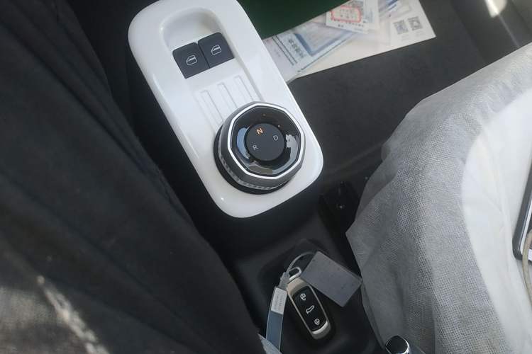 Used  Panda 2025 210 km – Yuanqi Bear
