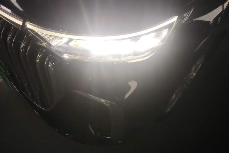 Used VOYAH Dream 2022 Low-Carbon Edition Home