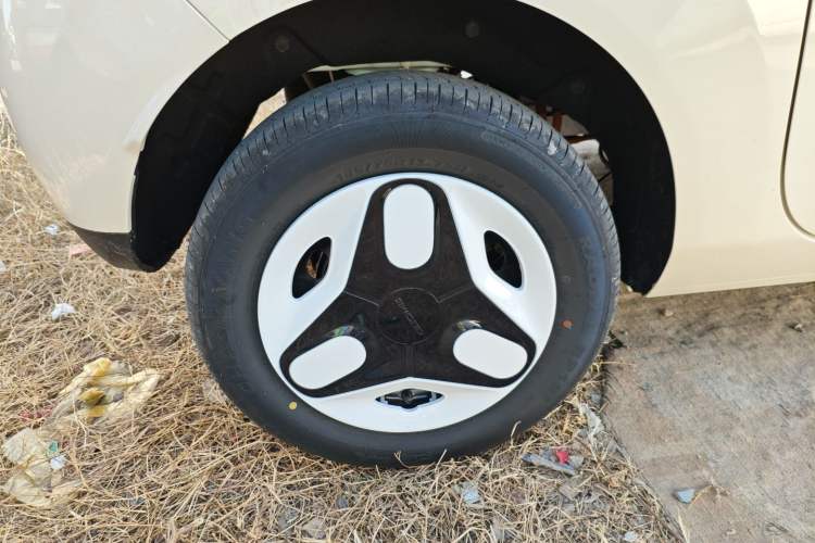 Used  Panda 2025 210 km – Yuanqi Bear
