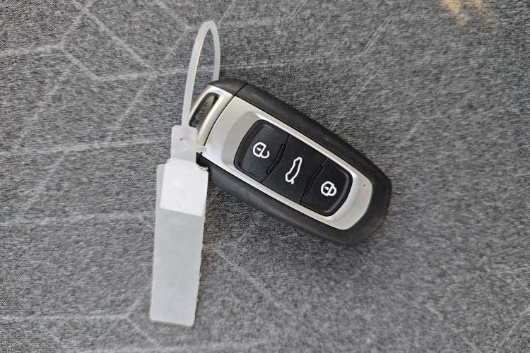 Used  Panda 2024 Panda Mini 200km Endurance Bear