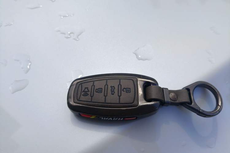 Used Haval H6 2021 National Trend Edition 1.5T Automatic Champion Version
