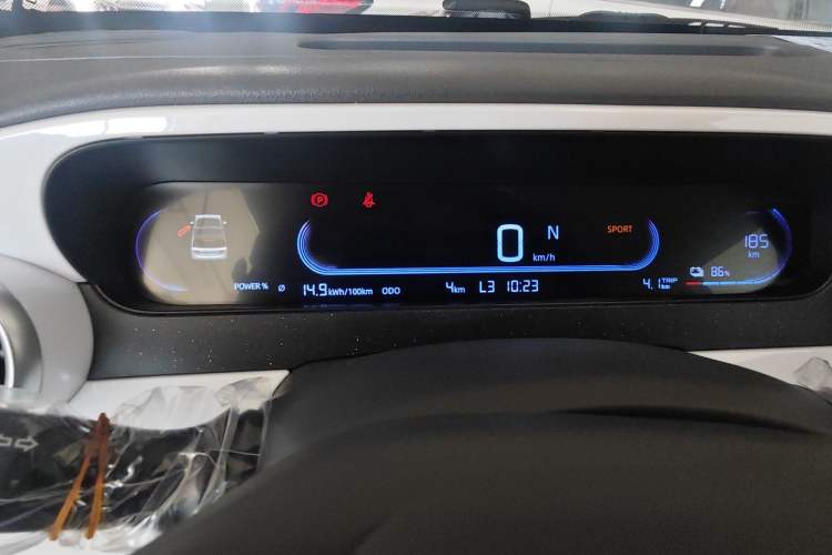 Used  Panda 2025 210km Panda Rider
