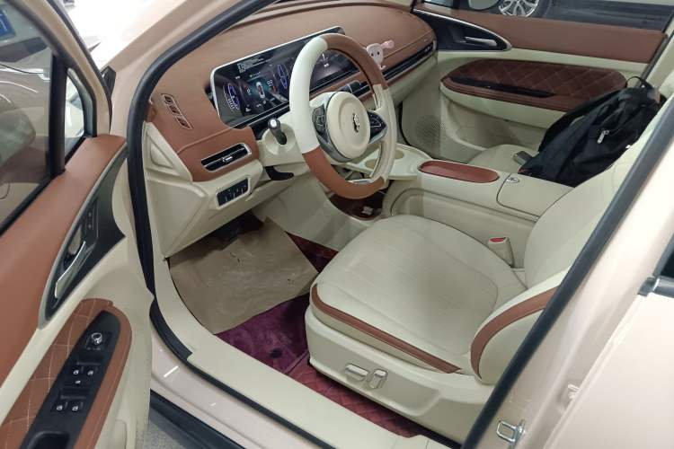 Used ORA Good Cat 2024 401 km Luxury Version