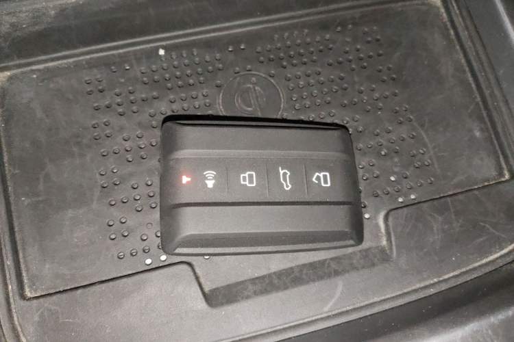 Used Tank 300 2024 2.0T Challenger
