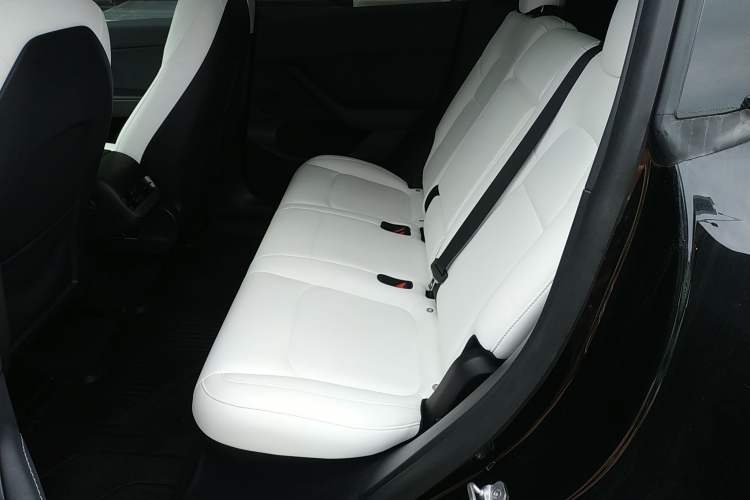 Used Tesla Model Y 2021 Standard Range Rear-Wheel Drive Version
