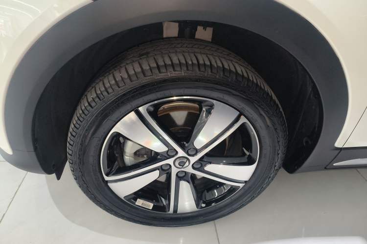 Used  #1 2024 Dynamic Standard Edition
