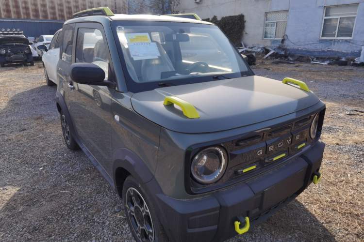 Used  Panda 2025 210km Panda Rider