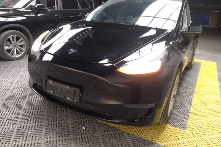 Used Tesla Model Y 2021 Standard Range Rear-Wheel Drive Version