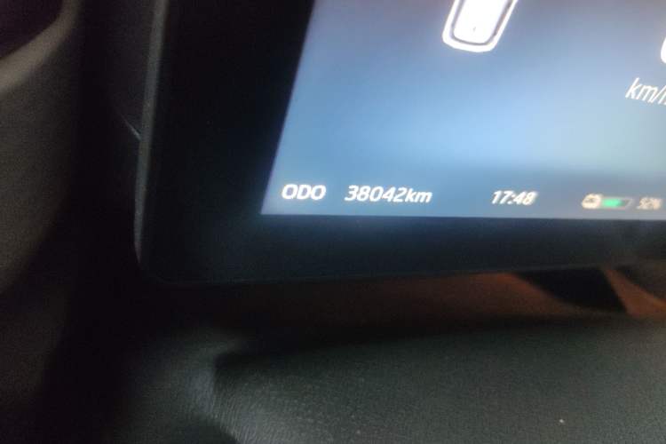 Used SOL E10X 2022 Flower Fairy Design Four-Leaf Clover
