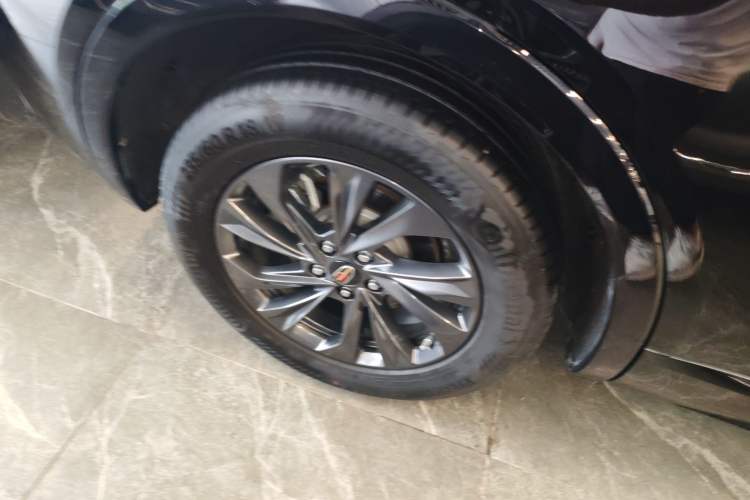 Used Hongqi HS5 2023 2.0T Qixiang Pro Edition
