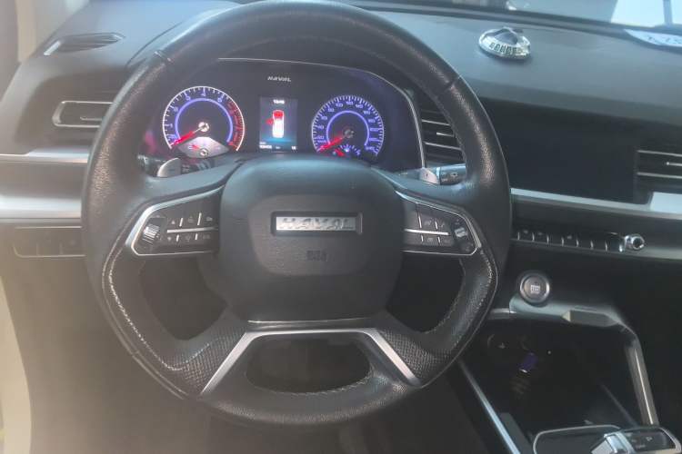 Used Haval H6 2017 Blue Label 2.0T Automatic Two-Wheel Drive Smart Edition
