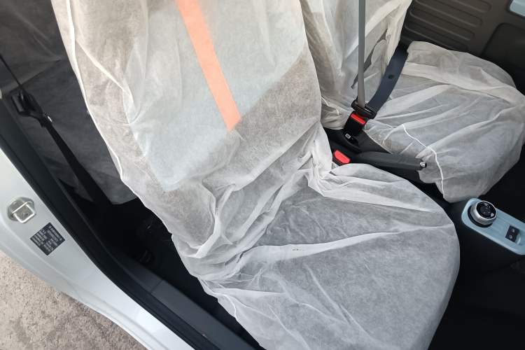 Used  Panda 2024 Panda Mini 200km Endurance Bear
