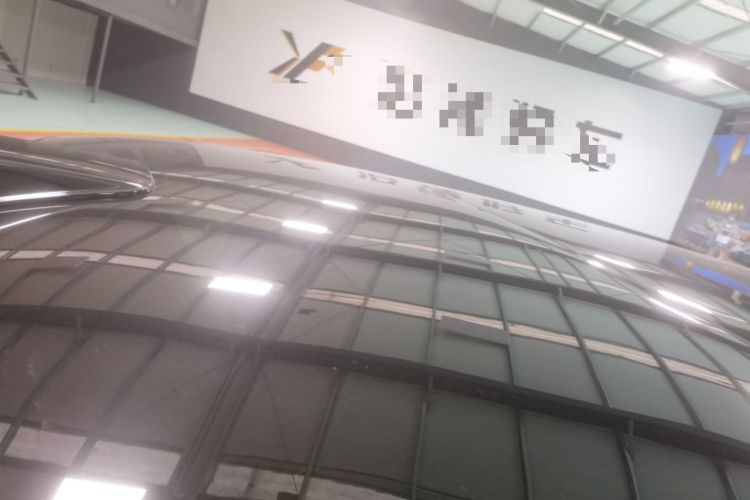 Used Li Auto L9 2024 Pro Model
