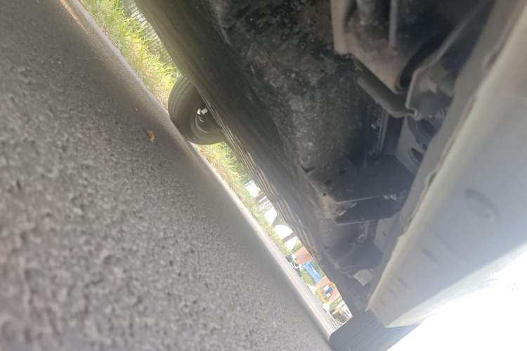 Used  Panda 2024 Panda Mini 200km Endurance Bear
