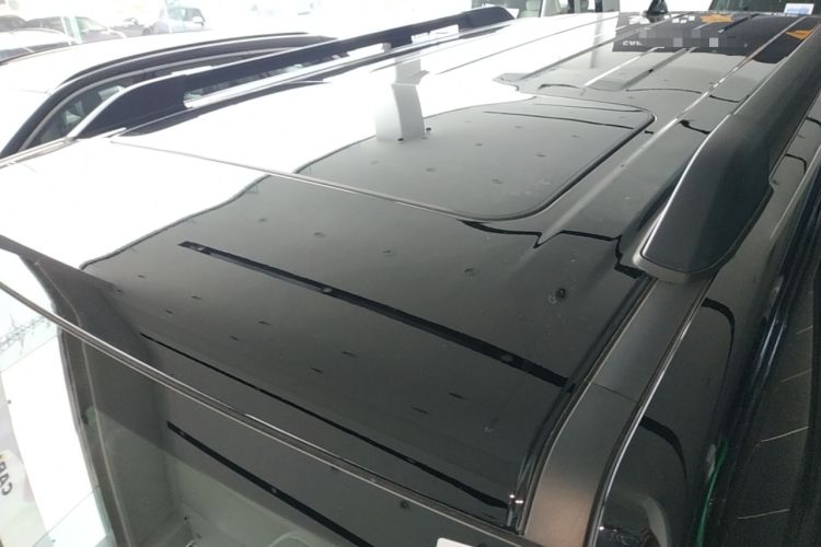 Used Tank 300 2024 2.0T Conqueror
